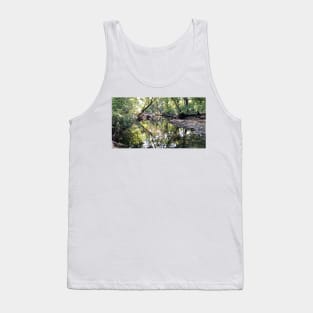 Creek Scenery Landscape Photograph of Beautiful Indian Creek Tank Top